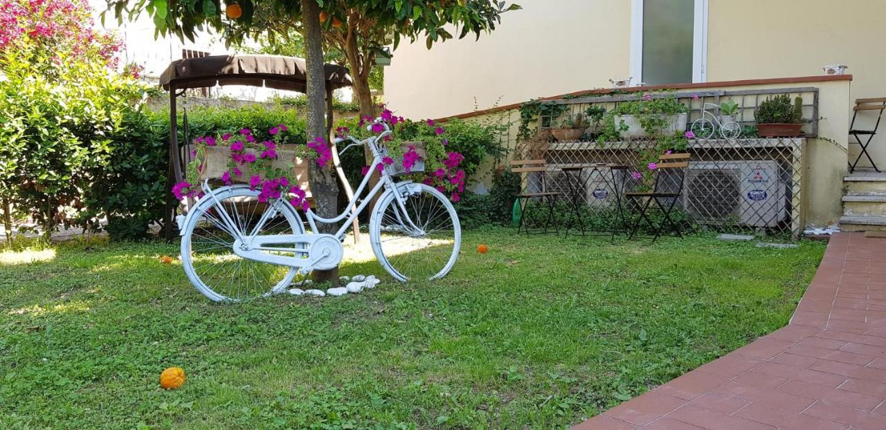 Villa Noemi Bed&Breakfast Pisa Kültér fotó